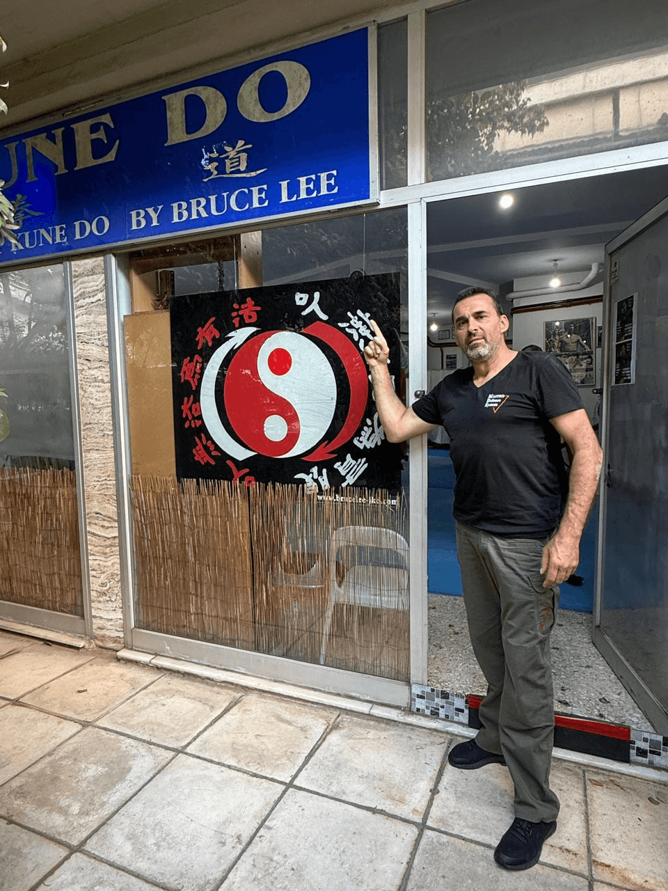 Σύστημα αυτοάμυνας MDS